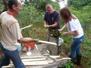 Beim Zuckerrohrpressen