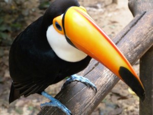 Ich bin nicht aus Plastik!!!