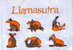 Llamasutra