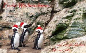 Weihnachtsgrüße