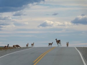 P1200760 - Kopie (2)